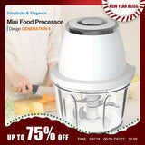 Portable Wireless 304 Stainless Steel Electric Food Chopper & Processor